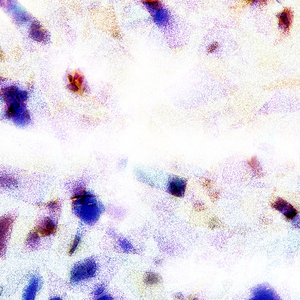 极品大乳操逼流水视频
